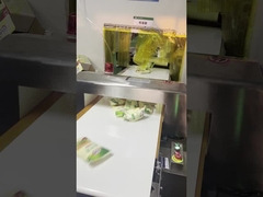 자동 운반 금속 탐지기 포장 라인을 위한 식품 안전 300*150mm 터널 크기