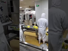 포장 장비 금속 탐지기 / 식품 및 포장 산업용 식품 등급 금속 탐지기