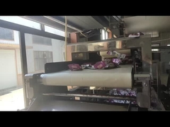 조정 가능한 높이 및 벨트 길이 금속 탐지기 물체 검사 식품 금속 탐지기