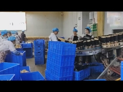 디지털 신호 처리 및 OEM을 가진 스테인리스 304 식품 금속 탐지기의 전체 구조