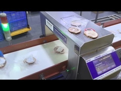 자동 컨베이어 산업용 식품 등급 금속 탐지기 안전장비 기계 OEM 맞춤형