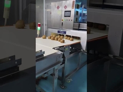 자동 컨베이어 금속 탐지기 0.5mm 감수성 식품 / 화장품 원자재 검사