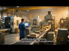 자동 체크 웨이저 정확한 무게 측정 및 생산 생산량을 높여