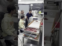 식품 등급 금속 탐지기