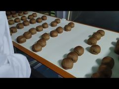 0.01g 해상도 식품 가공용 금속 검출기