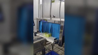 SHANAN 산업용 식품 X-Ray 검사 시스템