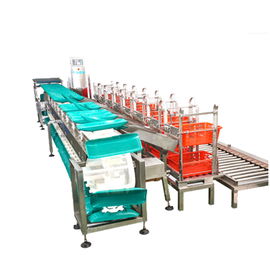 포장 무게를 다는 기계를 위한 높은 정확한 Checkweigher 컨베이어